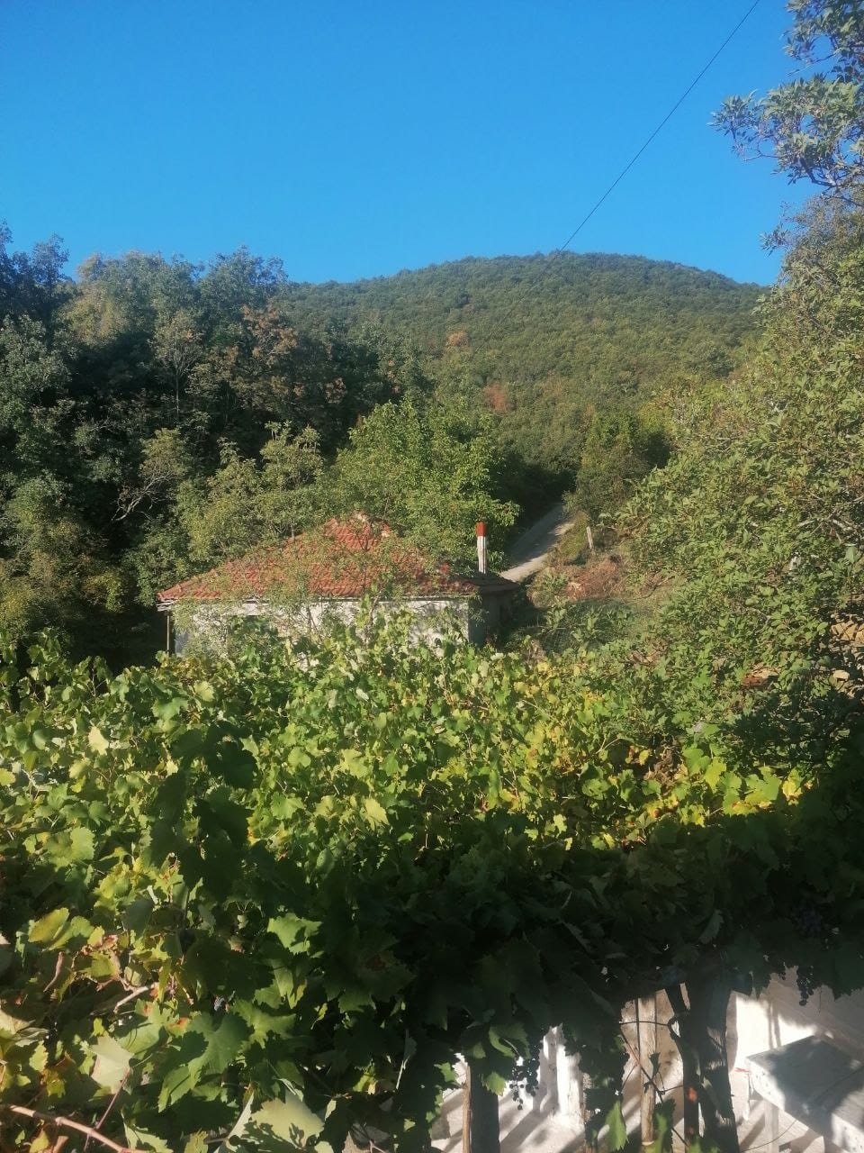 πέτρινο σπίτι πίσω από κληματαριά