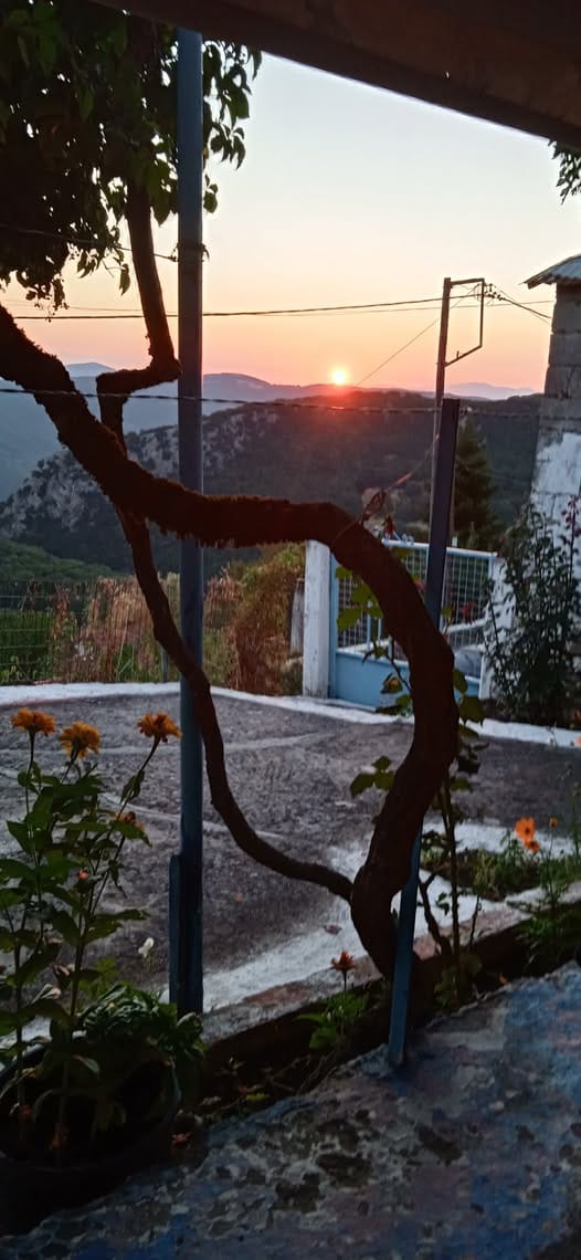 ηλιοβασίλεμα από αυλή με κληματαριά