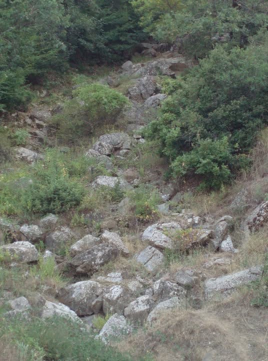 βραχώδης πλαγιά με θάμνους